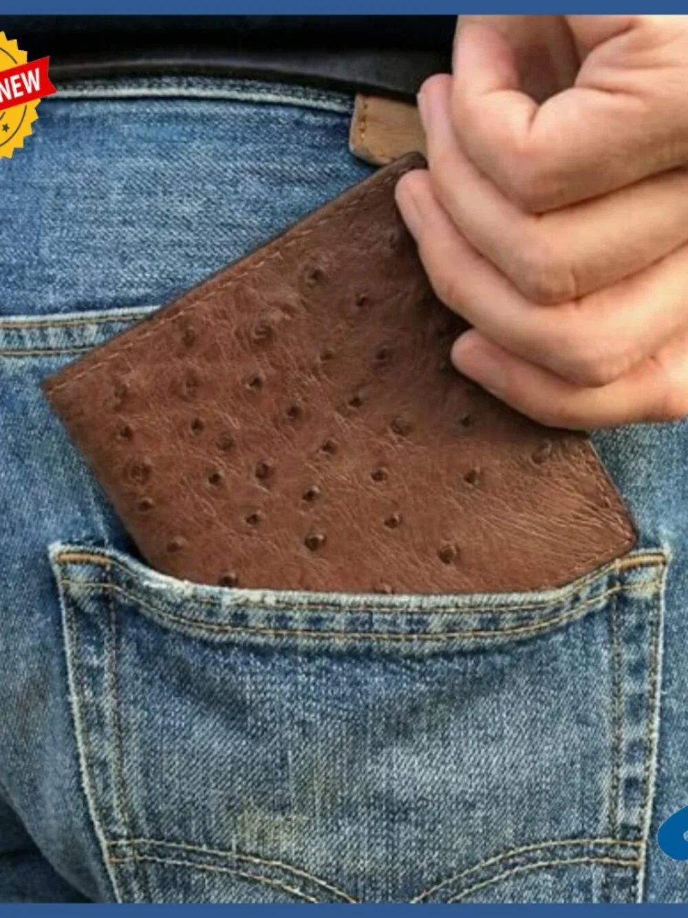 Genuine Ostrich Skin Jumbo Hipster Wallet 12 Card Slots Oversized Square